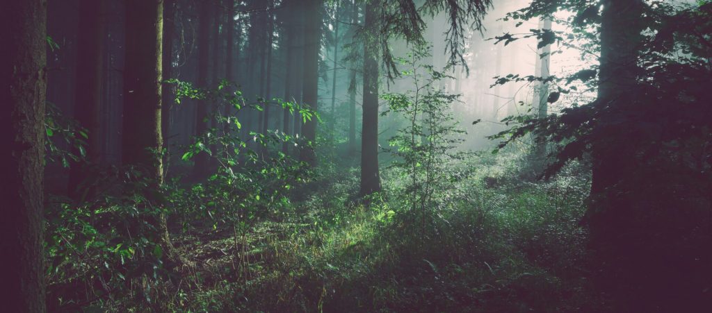 why choose cta 1024x451.jpg